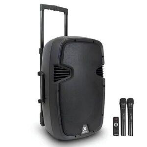 8-inch PA Amplifier with Wireless Mics