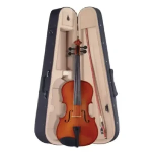 Professional Viola with Case and Bow